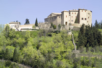 Bertinoro